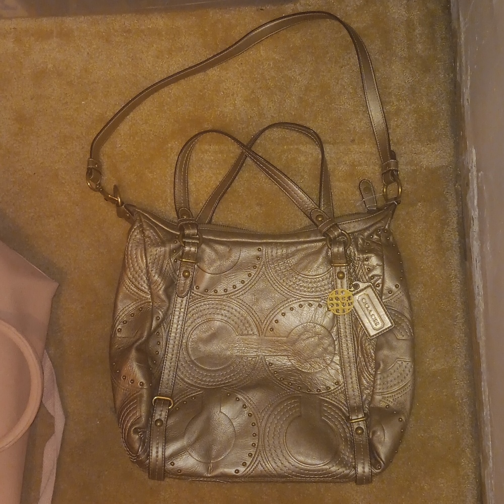 Golden Metallic Coach Purse